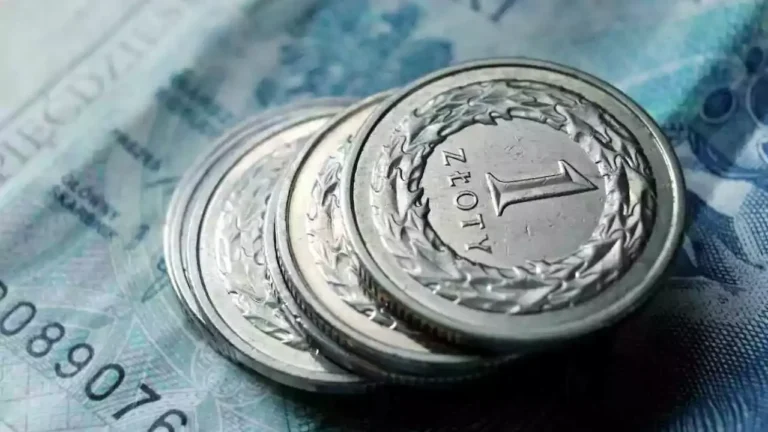 money poles zlotys