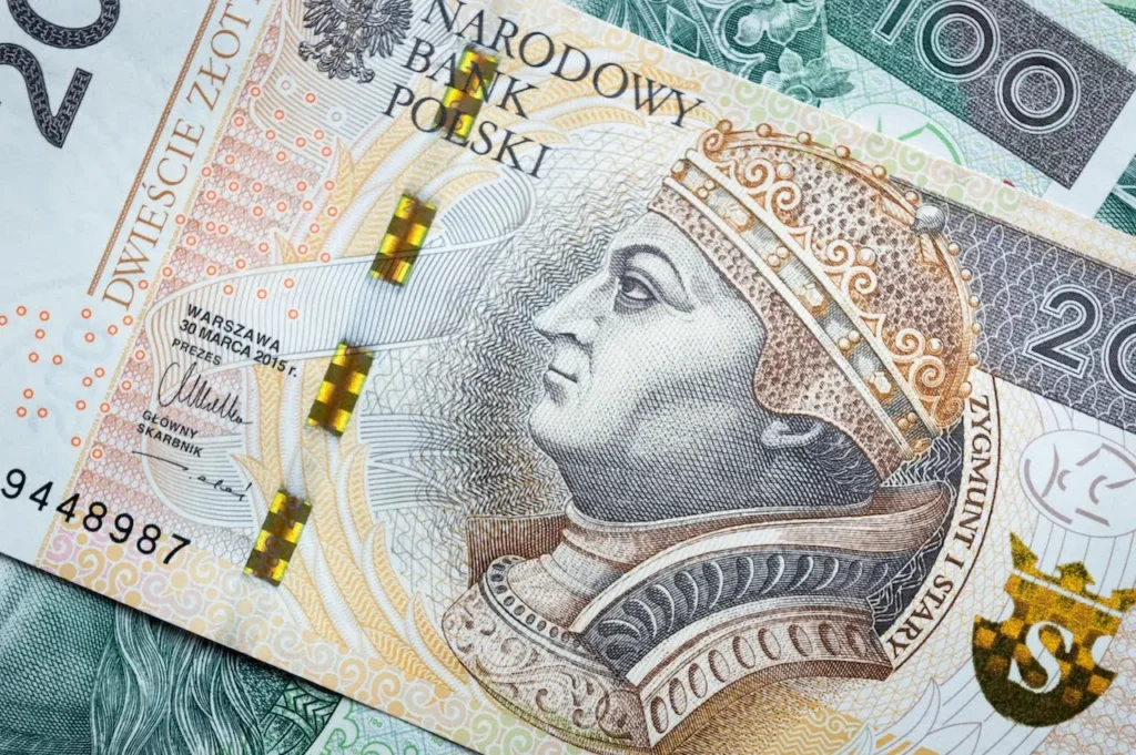money, polish zloty