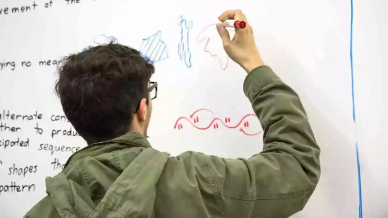 schools in north america, education