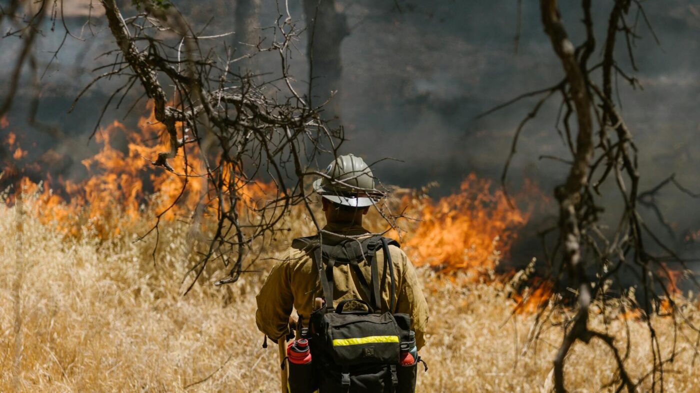 A firefighter looking at a burning forest