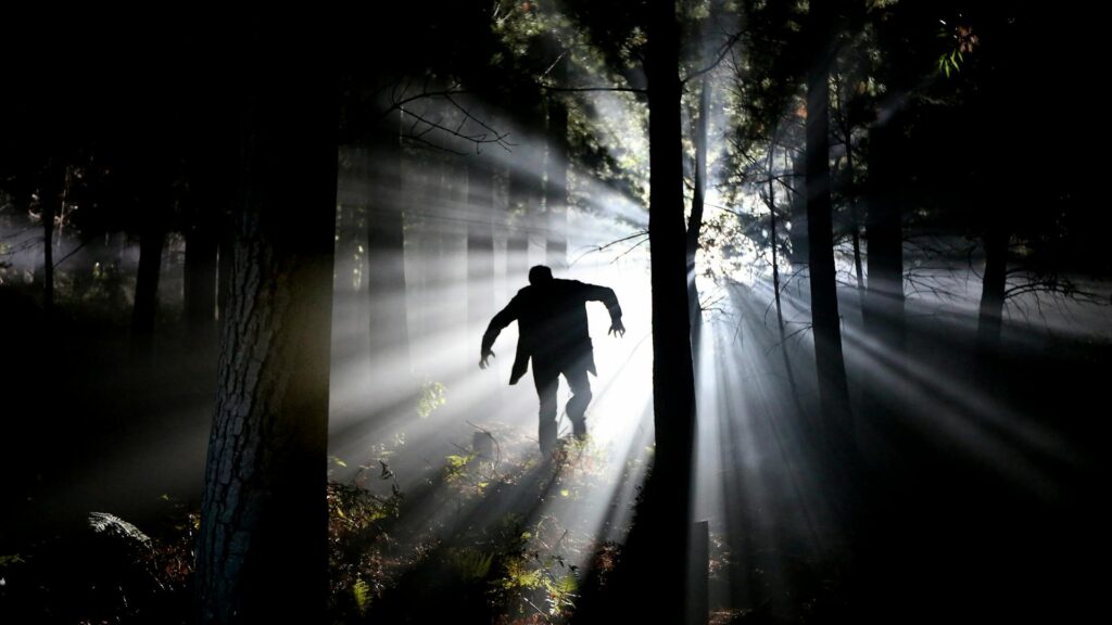 Evil in culture: eerie, horror scene, a scary person is walking through a dark forest, illuminated from the back