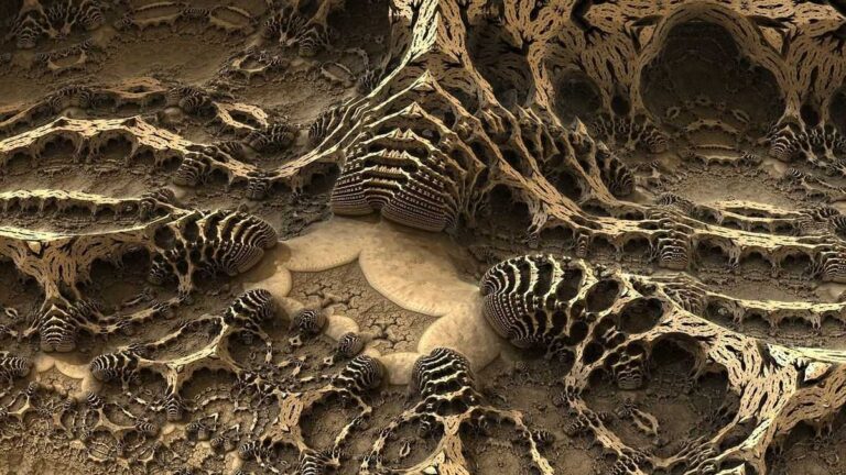 Extinct Life Form Fossilized plants