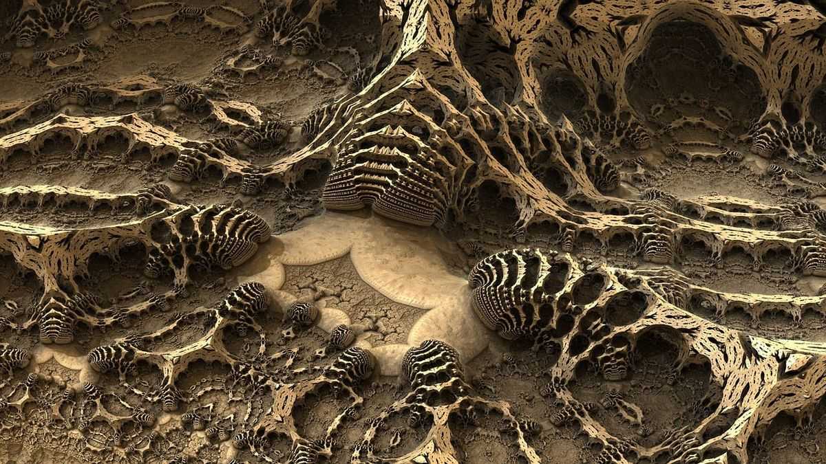 Extinct Life Form Fossilized plants