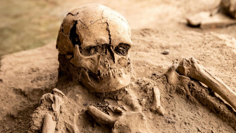 The-oldest-human-hybrid-2