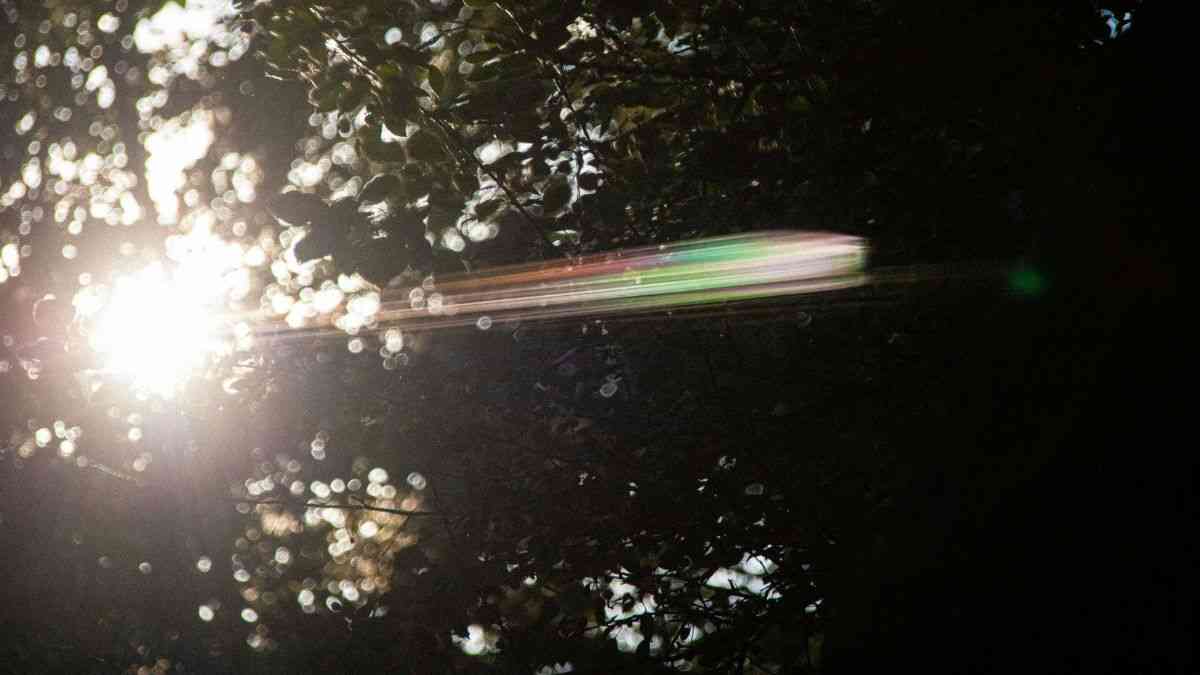 Artificial photosynthesis: sunbeams piercing through green tree leaves. Photo by Vitaly K. / Unsplash.