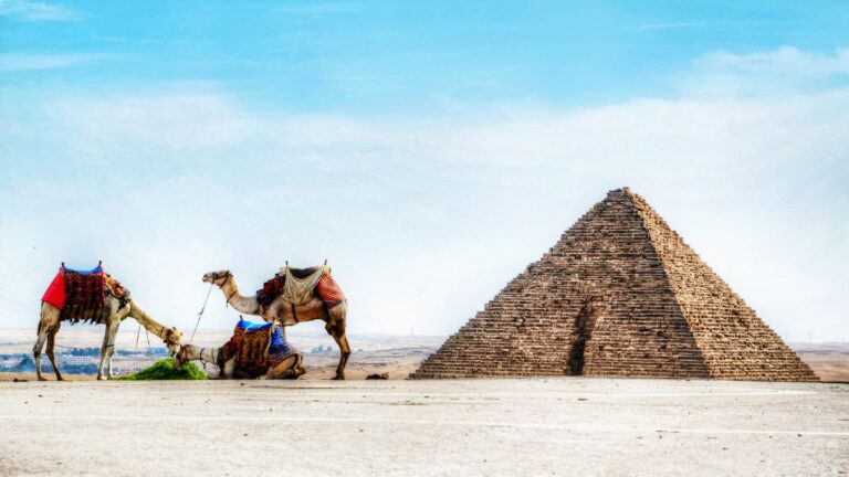 Discovery in the Pyramid: A view of the Menkaure Pyramid in Giza, with camels nearby. Photo: Mohamed nabawy / Wikimedia Commons (CC BY-SA 3.0)