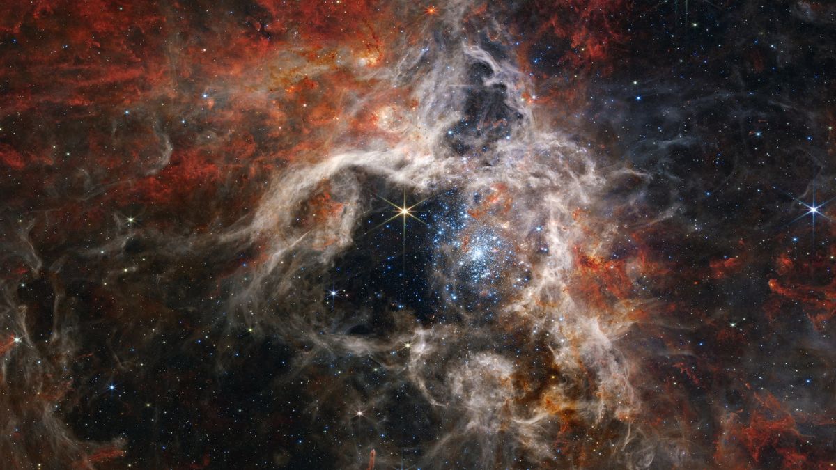 Does alien life exist? Photo of a section of the Large Magellanic Cloud. Photo by NASA's James Webb Space Telescope (CC BY 2.0)