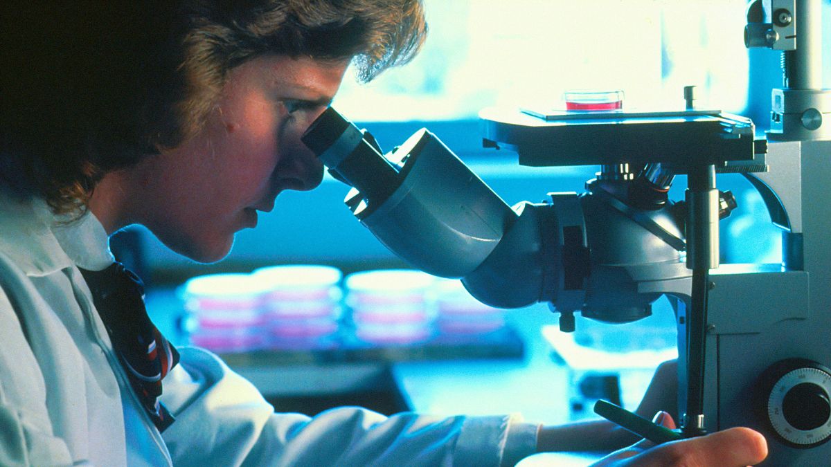 Light-Powered Motor: A researcher looks into a microscope. Photo: National Cancer Institute / Unsplash