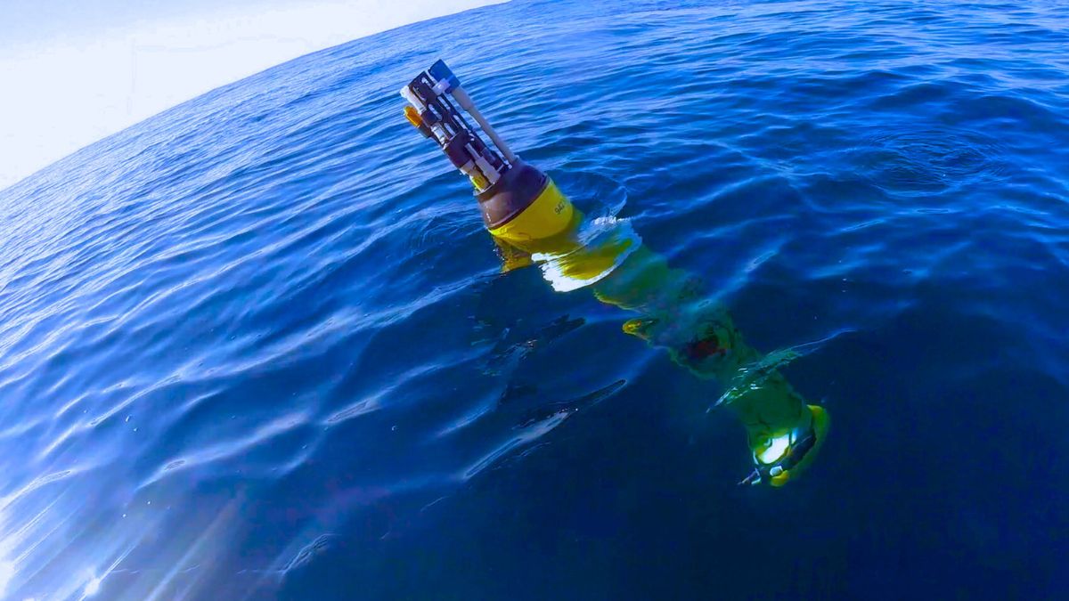 Global Warming and Oceans: An Argo network drifting robot surfaces its antennas above the water. Photo: MBARI / Press materials