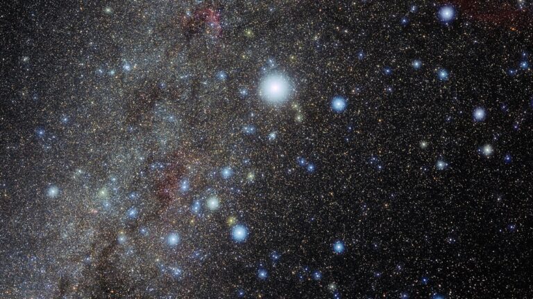 Photo of the constellation Canis Major produced by NOIRLab in collaboration with Eckhard Slawik, a German astrophotographer.