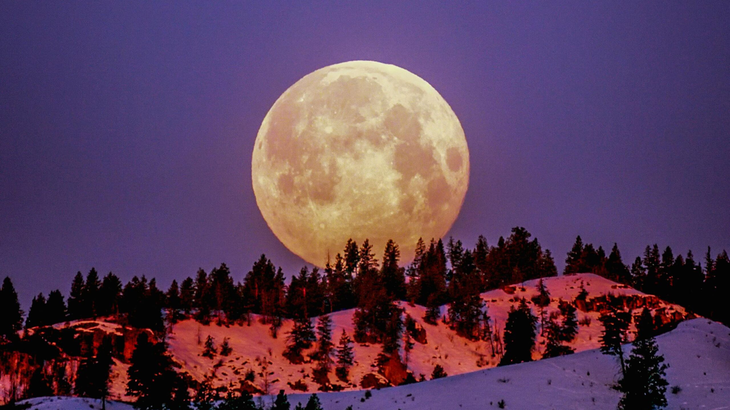December Full Moon: How to Observe the Cold Moon 2025 The full moon—the Cold Moon—will appear on the night of December 4-5.