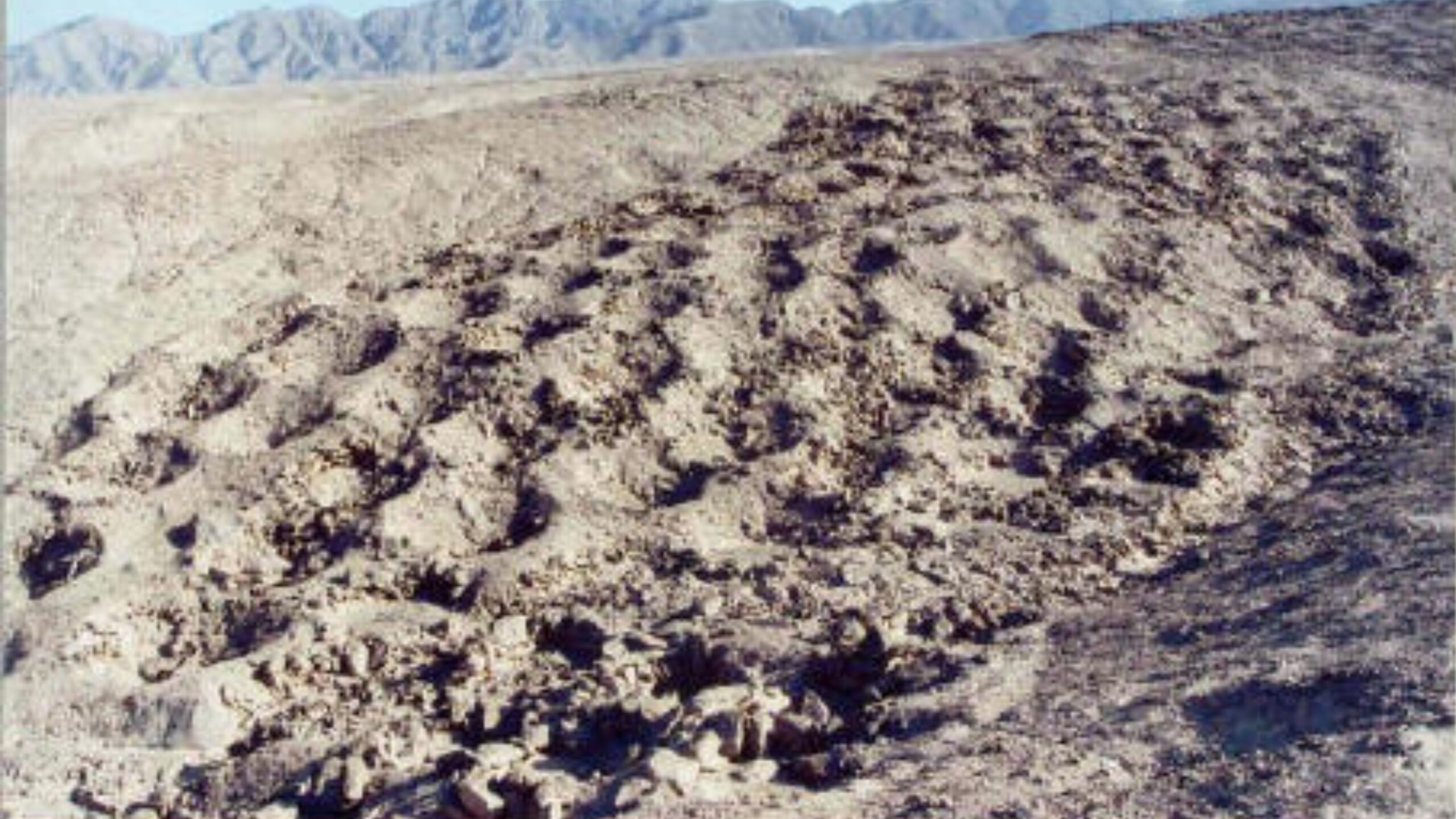 Researchers, including a team from Harvard, found remains of corn and reeds inside the holes in the Andes.