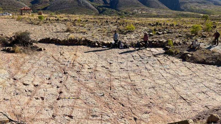 Dinosaur footprints at the Carreras Pampa site in Torotoro National Park, Bolivia.