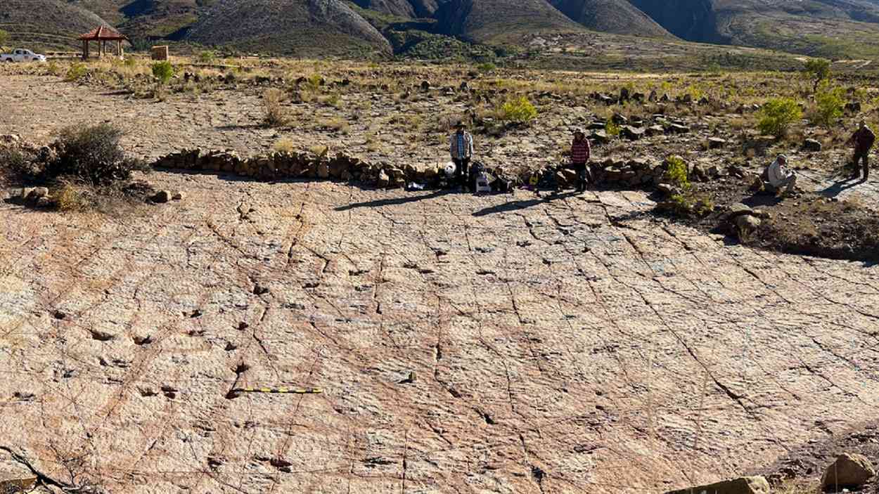 Dinosaur footprints at the Carreras Pampa site in Torotoro National Park, Bolivia.