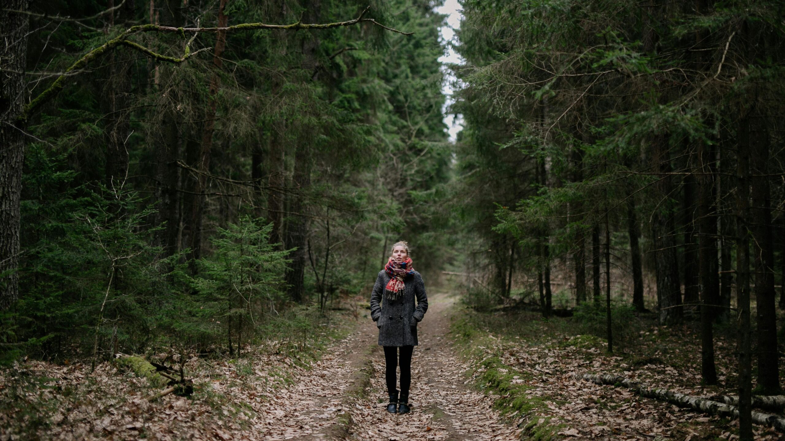 Fear of nature, what is biophobia, what is biophilia. Researchers from Sweden and Japan have shown that a growing number of people are struggling with biophobia.