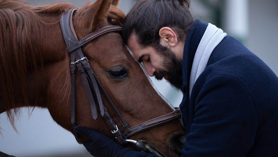 Humans and Animals: A man touches his head to a horse’s head.