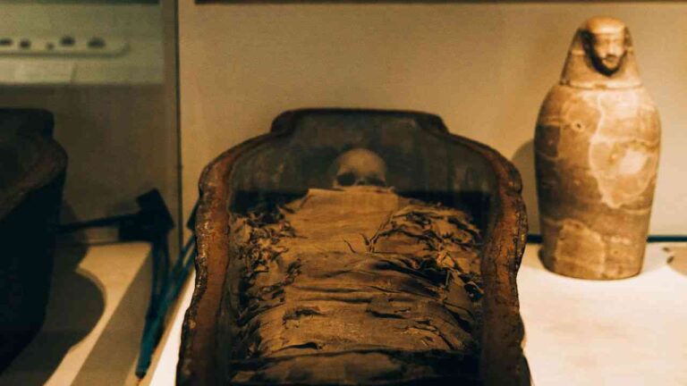 A dark mummy rests within its casket.