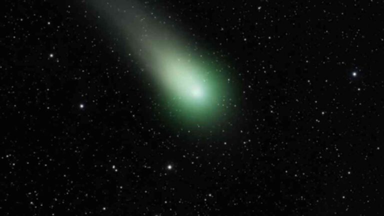 The PanSTARRS comet with its bright greenish nucleus and extended tail against the backdrop of the night sky.