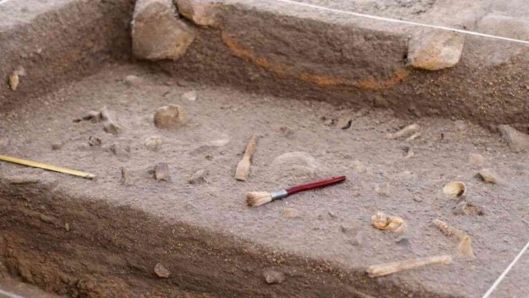 The discovered Homo habilis skeleton presents a profound mystery regarding human origins in Africa.