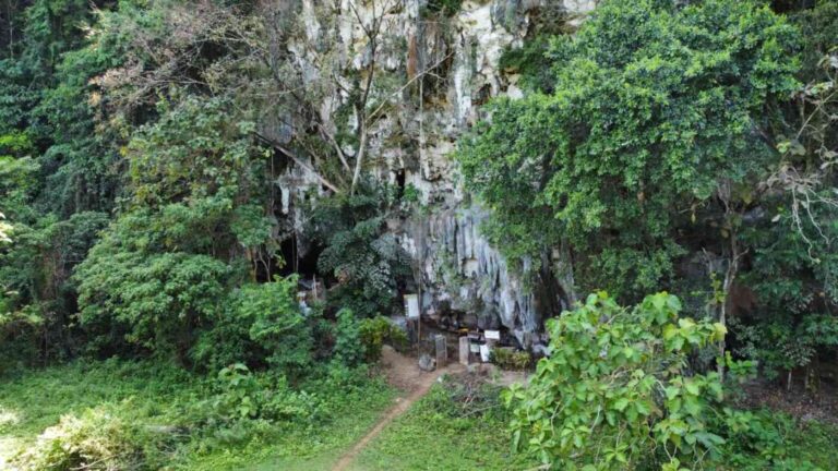 Archaeologists excavate inside Leang Bulu Bettue cave on Sulawesi, investigating evidence that Two human species may have lived there across deep time