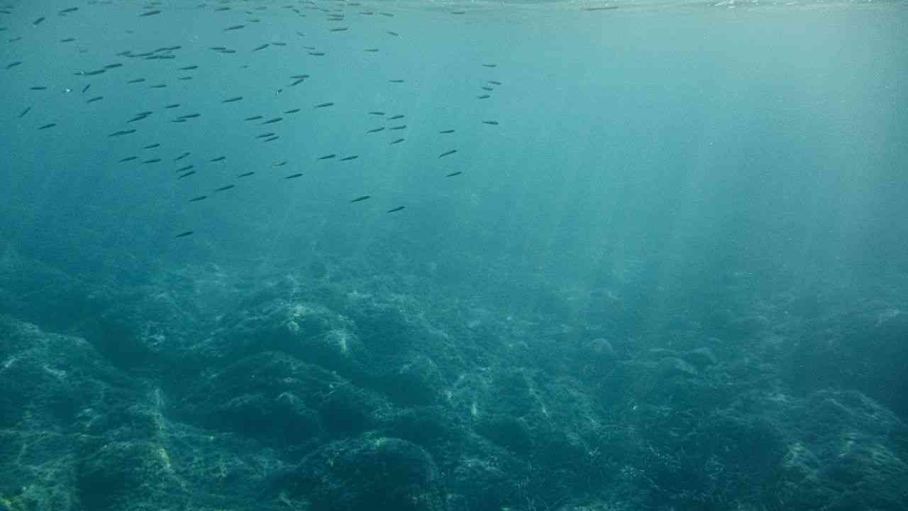 Underwater darkness is a threat to the oceans.