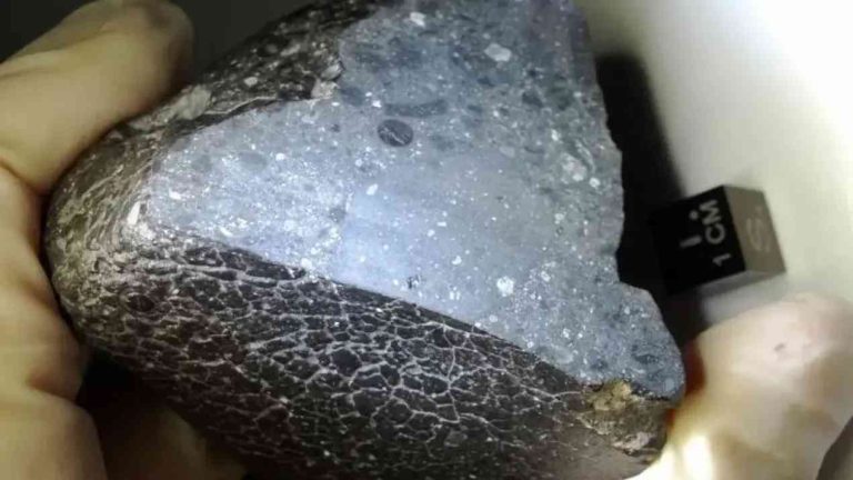 The Black Beauty meteorite from Mars held in a laboratory glove, an example of material revealing Mars’ geological history and traces of ancient water.