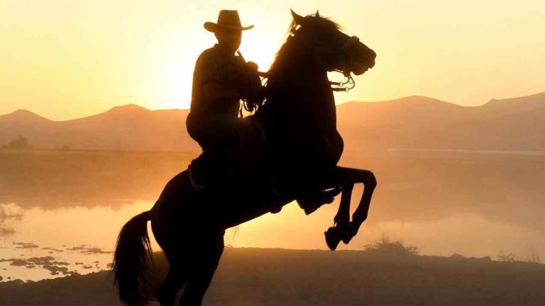 A rider on horseback at sunset, a symbol of old values and, today, a certain loneliness among children in the online world