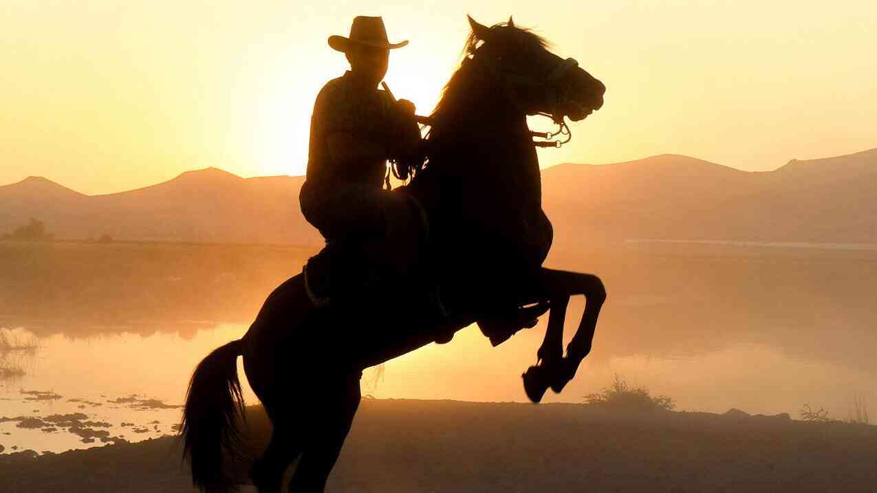 A rider on horseback at sunset, a symbol of old values and, today, a certain loneliness among children in the online world