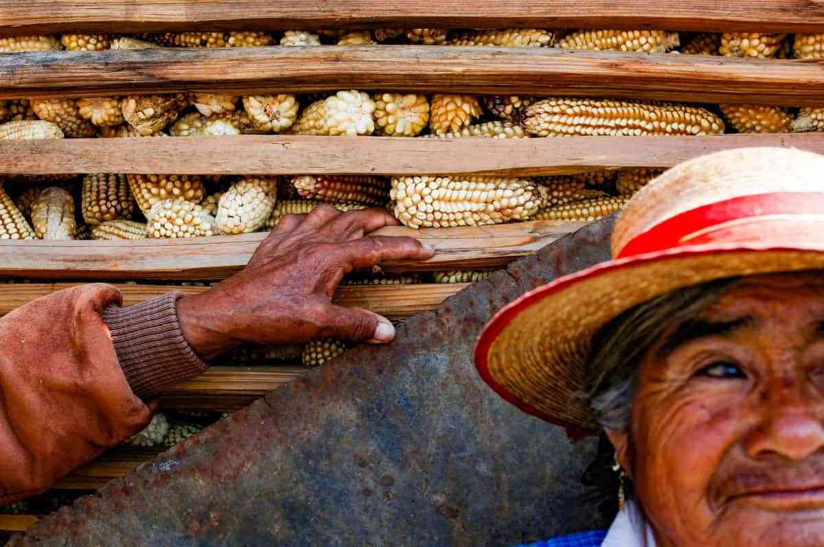 Na zdjęciu powyżej: farmer z Otzolotepec na przedmieściach Meksyku