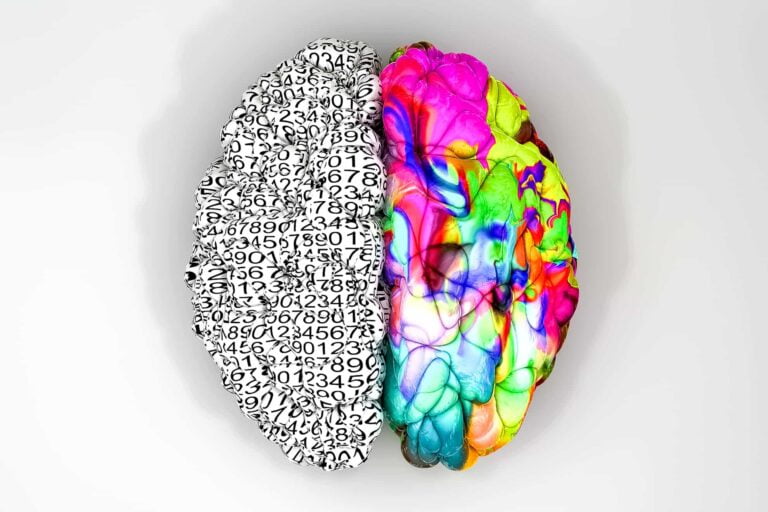 A typical brain with the left side depicting an analytical