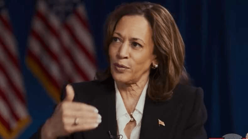 Kamala Harris. Kandydatka na prezydenta USA. Fot. Screen z YT Kamali Harris