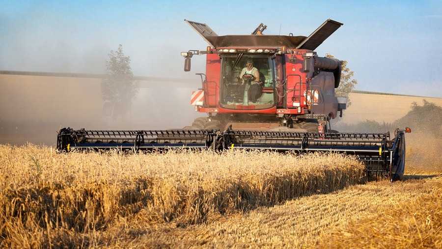 Konflikty na wsi: kombajn kosi zboże na polu