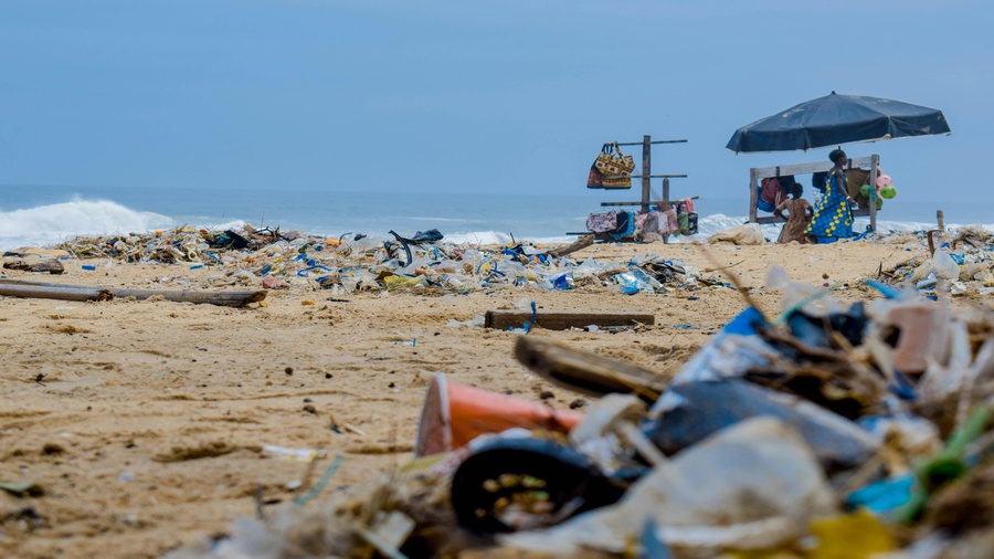 Mikroplastik w organizmie, zaśmiecona plaża