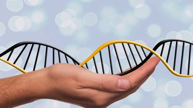 Biologia syntetyczna u progu wielkich zmian