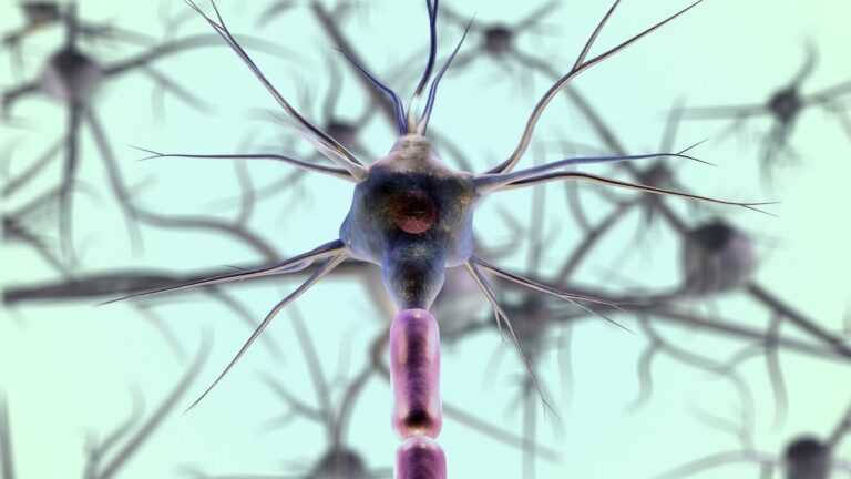 Teoria życia jako kaskada biomaszyn. Nowa podejście do ewolucji