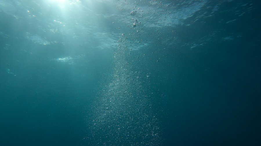 Badania wnętrza planety, Fot. Berend de Kort/pixabay, zdjęcie podwodne oceanu