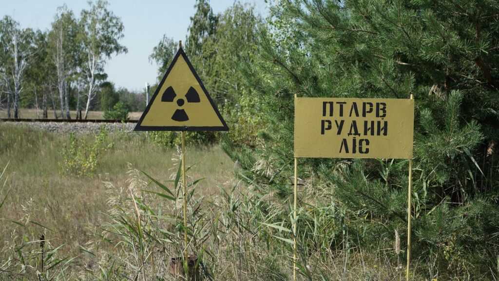 Mroczna turystyka: okolice Czerwonego Lasu w Prypeci