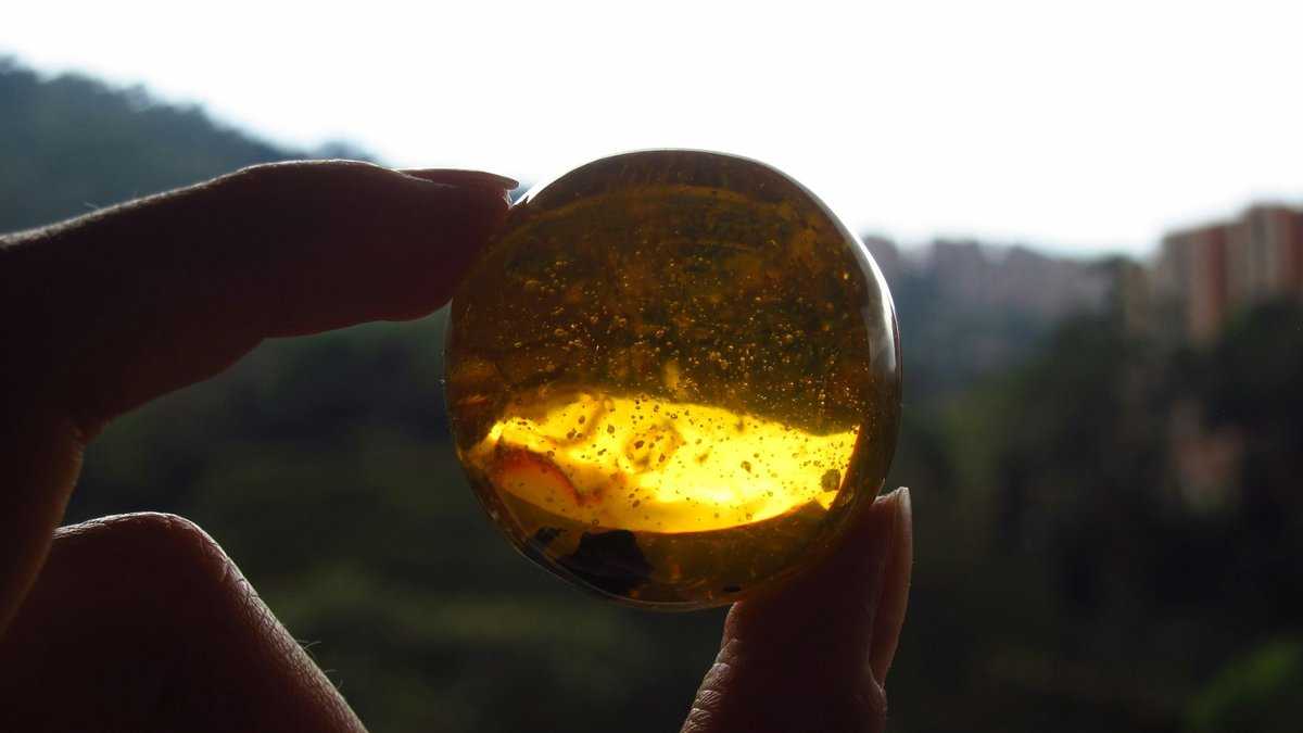Prehistoryczny grzyb zombie. Bursztyn trzymany w ręce, Fot. Natalia Soto/Unsplash