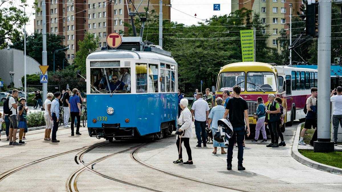 Piesi kontra kierowcy: piesi obok tramwaju i autobusu we Wrocławiu