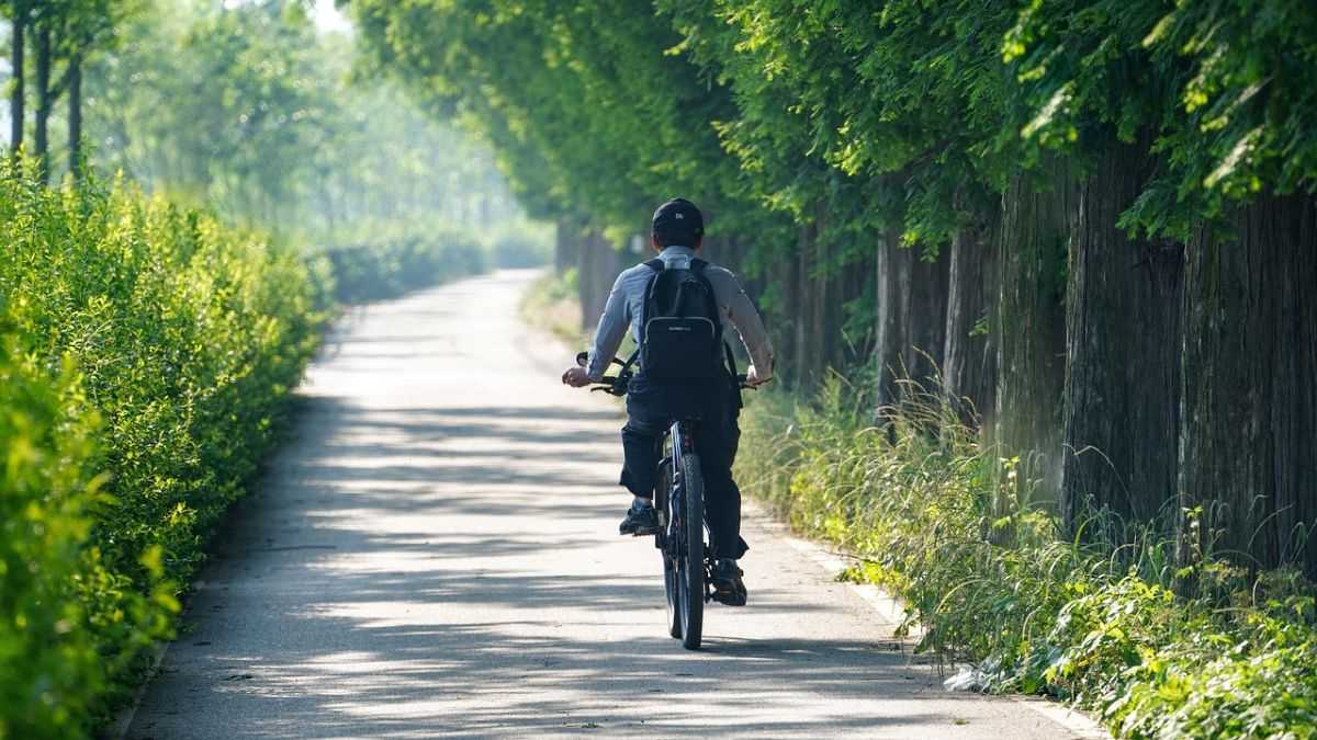 droga do szkoły: mężczyzna jedzie na rowerze po drodze asfaltowej po bokach rosną drzewa
