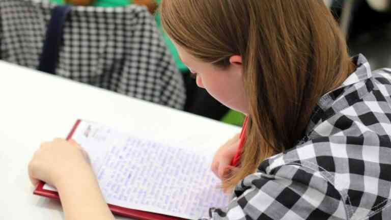 błędy systemu edukacji Fot. Pixabay / Pexels