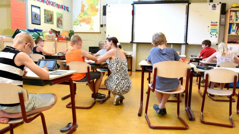 nowa podstawa programowa przyroda w szkole Instytut Badań Edukacyjnych wprowadza przyrodę w klasach I-VI.