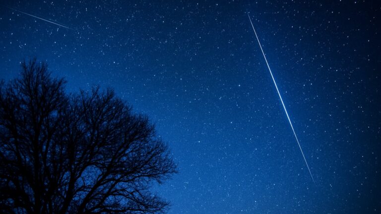 Nocne niebo z widoczną smugą meteoru podczas deszczu meteorów Leonidów, na tle gwiazd i sylwetki drzewa.