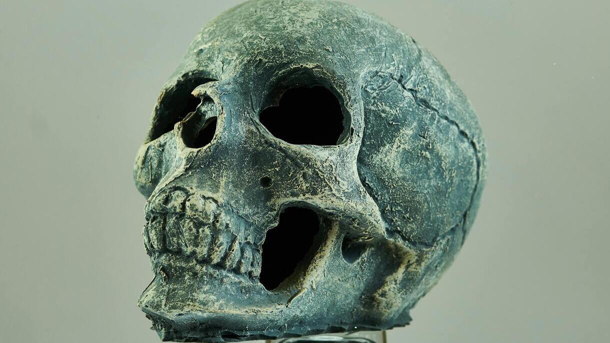 Coś przyspieszyło ewolucję ludzi. Ślad ukryty jest w naszej czaszce