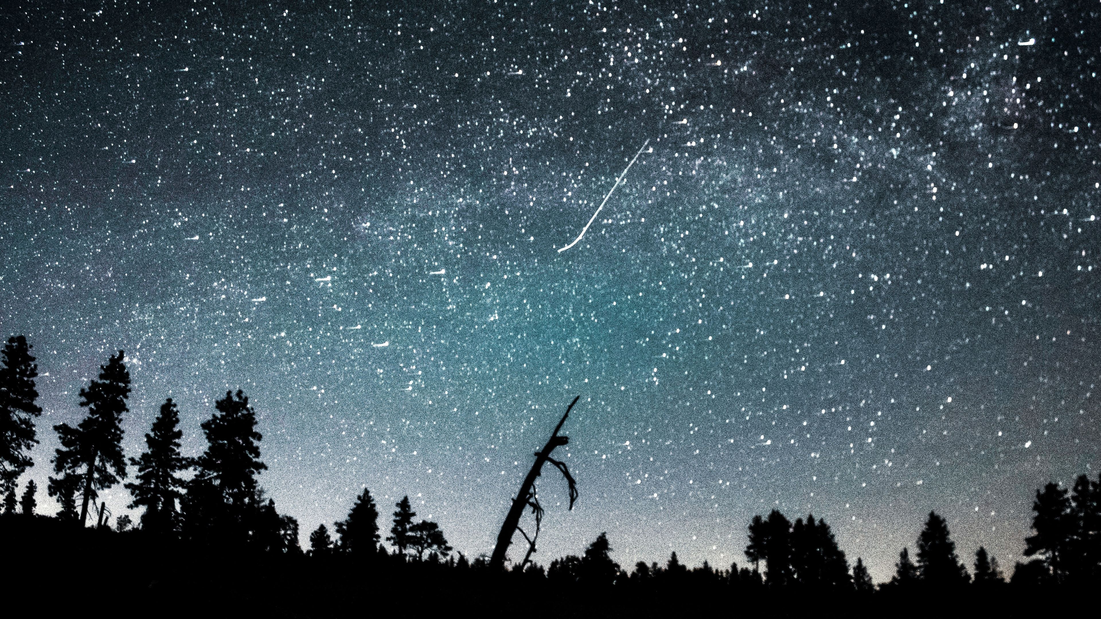 Rój meteorów Geminidów rozświetli noc. Wyjątkowe widowisko na niebie