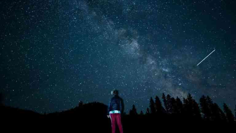 rój meteorów Ursydów na nocnym niebie nad lasem