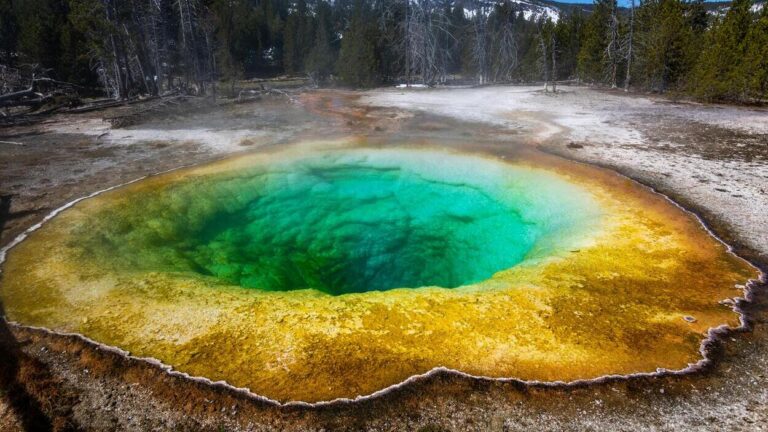 Kolorowe źródło geotermalne w Yellowstone, gdzie skutki trzęsień ziemi wpływają na wodę i życie pod powierzchnią Ziemi