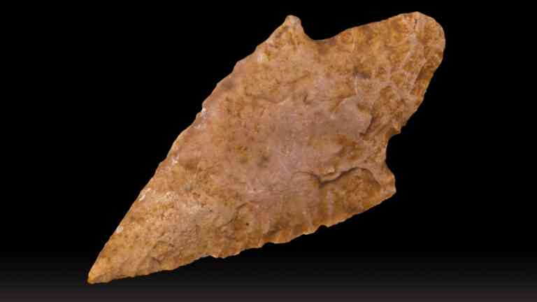 Najstarsze znane strzały z trucizną mają 60 tys. lat