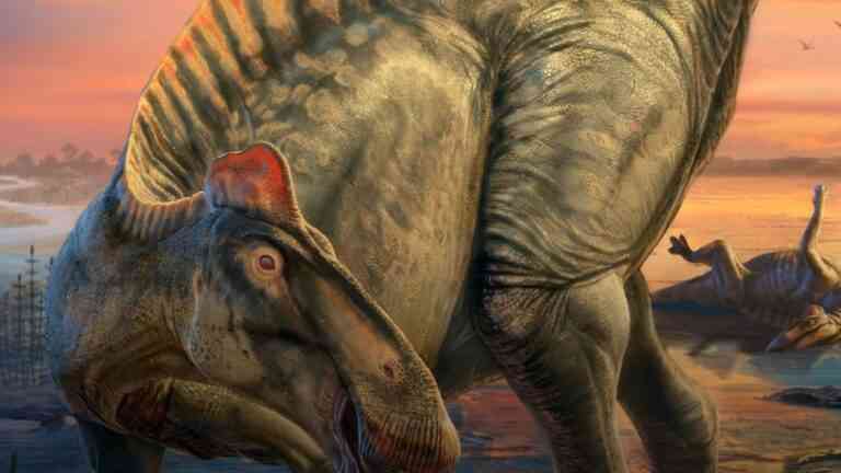 zbliżenie na dinozaura na ziemi