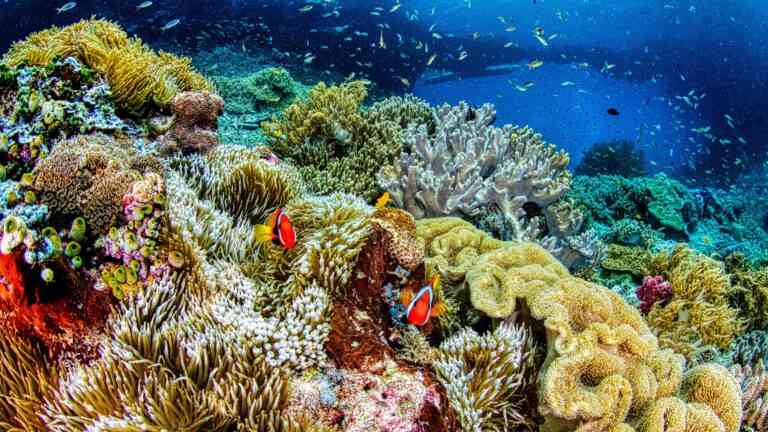 Ludzie wciąż odkrywają nowe gatunki ekosystemu